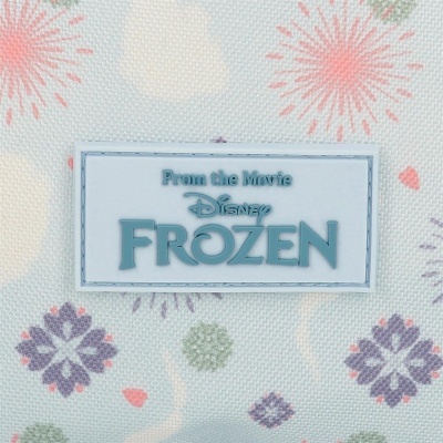 Etiqueta Disney Frozen em tecido com padrão floral