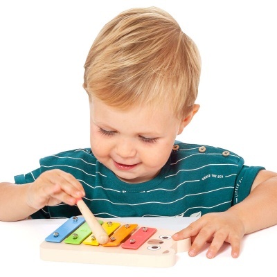 Menino loiro a tocar xilofone colorido de madeira