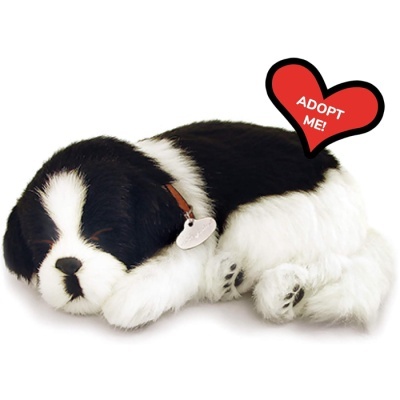 Pelúcia de cão preto e branco deitado com balão em forma de coração vermelho com texto 'ADOPT ME!'