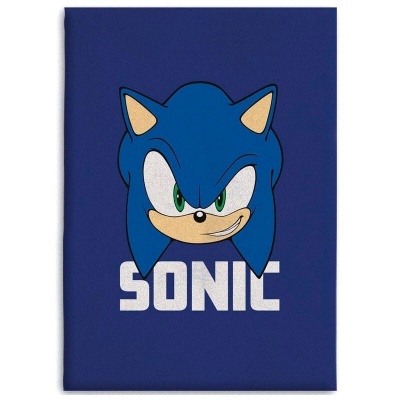 Capa azul com estampa do personagem Sonic e texto SONIC
