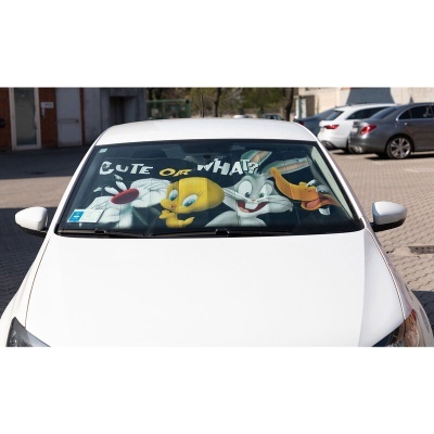 Protetor de para-brisas com personagens de desenhos animados coloridas em carro branco.