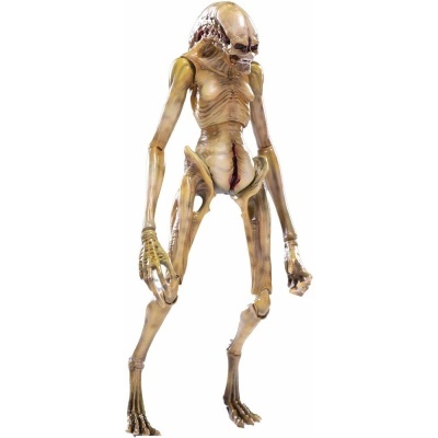 Figura alienígena esquelética translúcida castanha