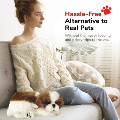 Mulher sentada no sofá com cão robô e texto promocional em inglês