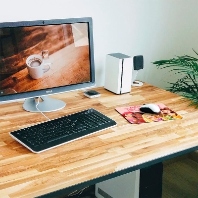 Secretária de madeira com monitor Dell, teclado preto, rato branco em tapete colorido, coluna branca e planta verde