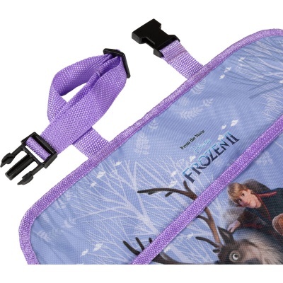 Organizador azul com bordas roxas e imagem Frozen II