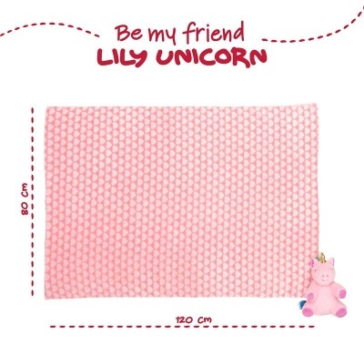Tapete rosa com padrão texturizado e pelúcia de unicórnio rosa, medidas 80x120 cm, texto Be my friend LILY UNICORN