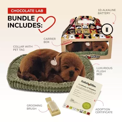 Conjunto de cachorro de peluche Chocolate Lab com cama verde, escova, caixa transportadora colorida e certificado de adoção
