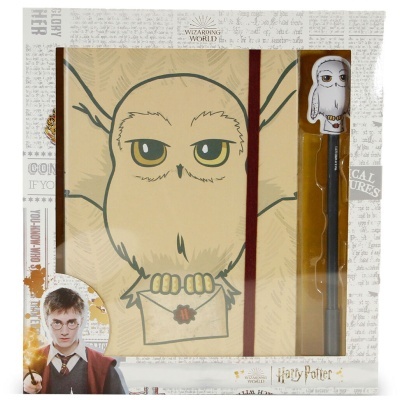 Conjunto Harry Potter com caderno e caneta com design de coruja e embalagem decorada