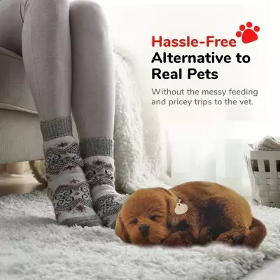 Pessoa com meias natalícias num sofá ao lado de cãozinho a dormir no chão com carpete branca