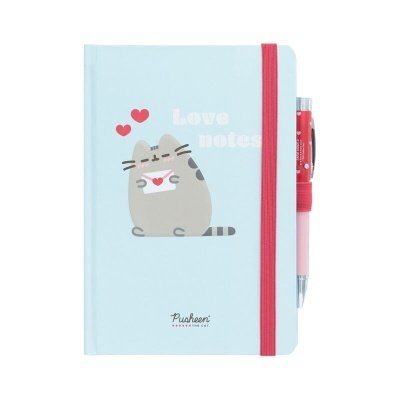 Caderno azul claro com elástico vermelho e caneta, capa com gato e texto Love notes