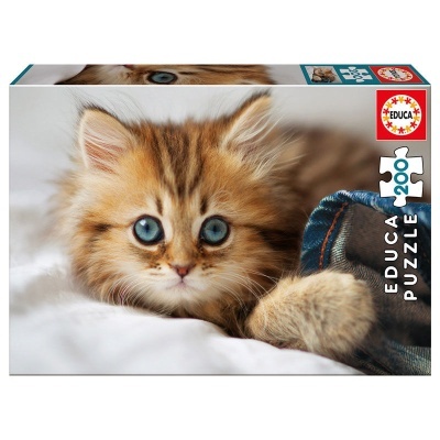 Caixa de puzzle com imagem de gato castanho de olhos azuis e tecido jeans