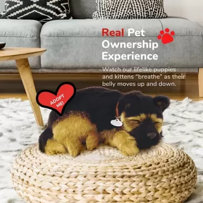 Cãozinho preto e castanho a dormir num puff de palha com texto de adoção e experiência de dono real