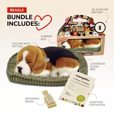 Conjunto para Beagle com peluche, cama peluche verde, escova, certificado, coleira e caixa transportadora