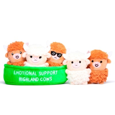 Cinco peluches de vacas Highland castanhas e brancas com base verde com texto