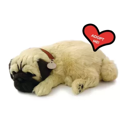 Pelúcia de cão pug a dormir com coleira e balão ADOPT ME.