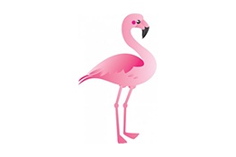 Ilustração digital de flamingo cor-de-rosa em fundo branco