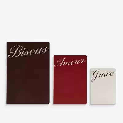 Conjunto de três cadernos coloridos com palavras cursivas nas capas.