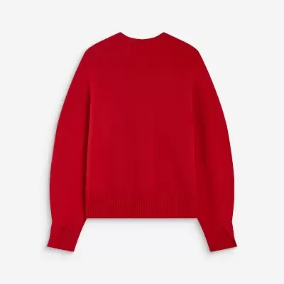 Camisola vermelha de malha vista de costas