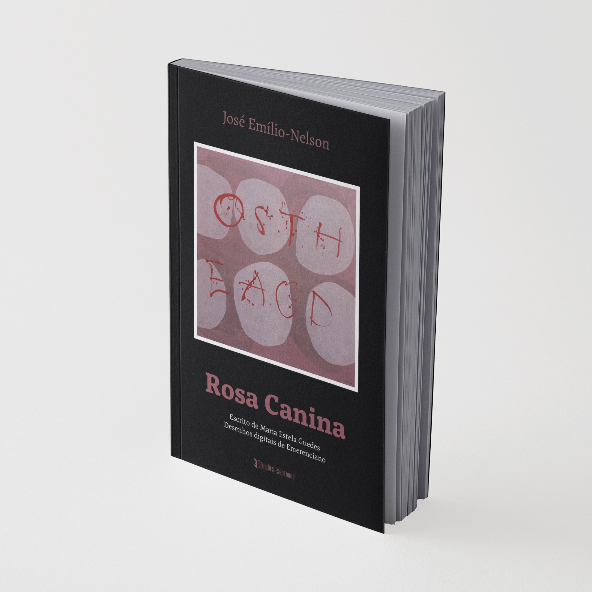 Livro com capa preta e ilustração abstracta em rosa e vermelho, título Rosa Canina.