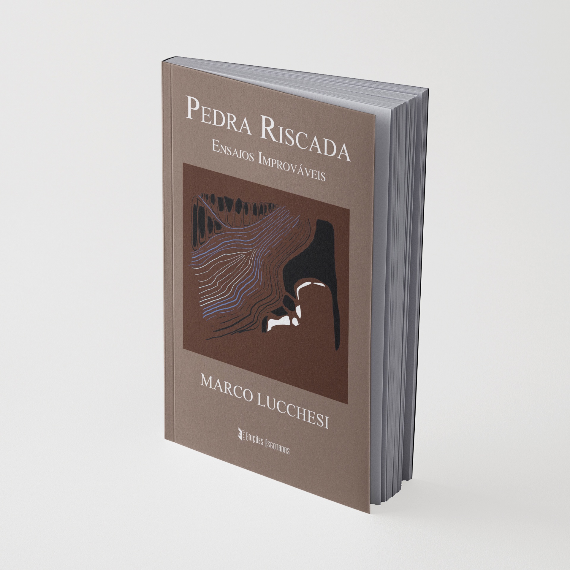 Livro Pedra Riscada em fundo branco