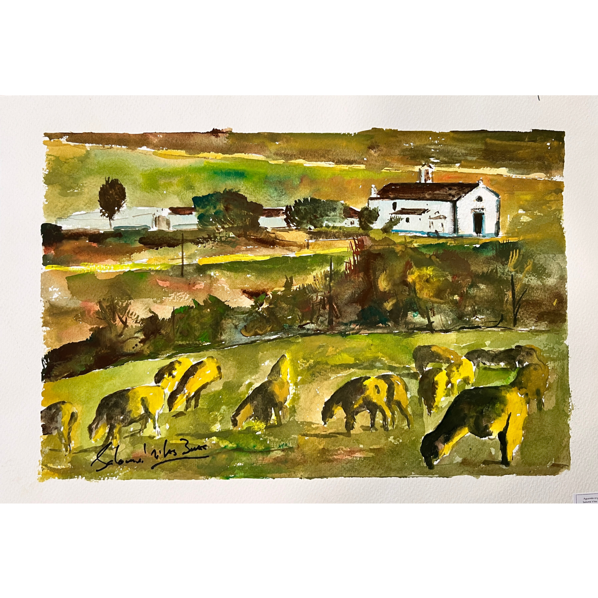 Paisagem rural pintada em aguarela com vacas a pastar e casa ao fundo