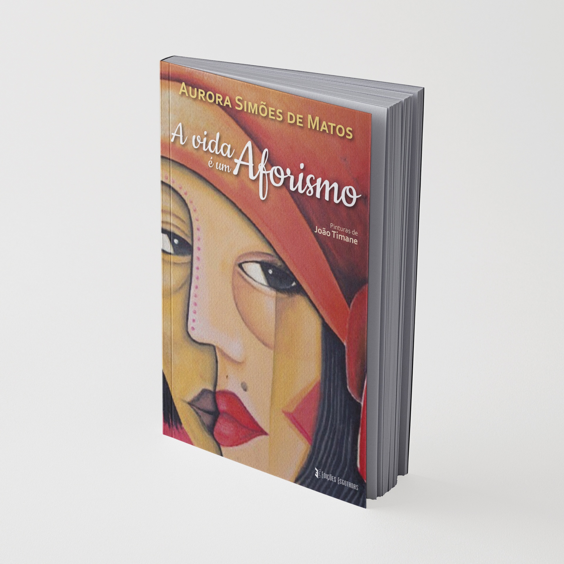 Capa de livro com ilustração abstrata de rosto e texto em português.