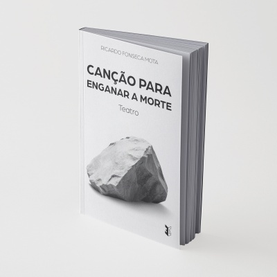 Capa de livro branca com pedra e título em preto