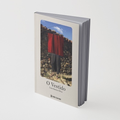 Livro O Vestido de Lisa Santos Silva com imagem de pessoa em parede de pedra.