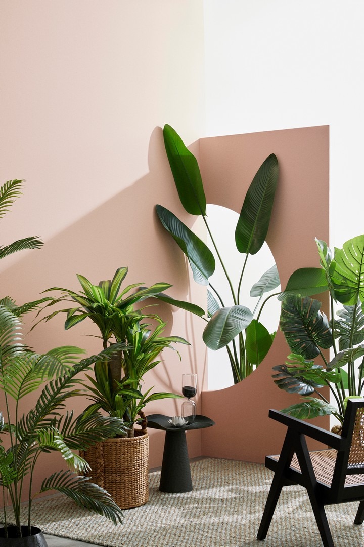 Plantas verdes em vasos diversos junto a parede rosa com espelho oval, mesa preta com copo e cadeira preta