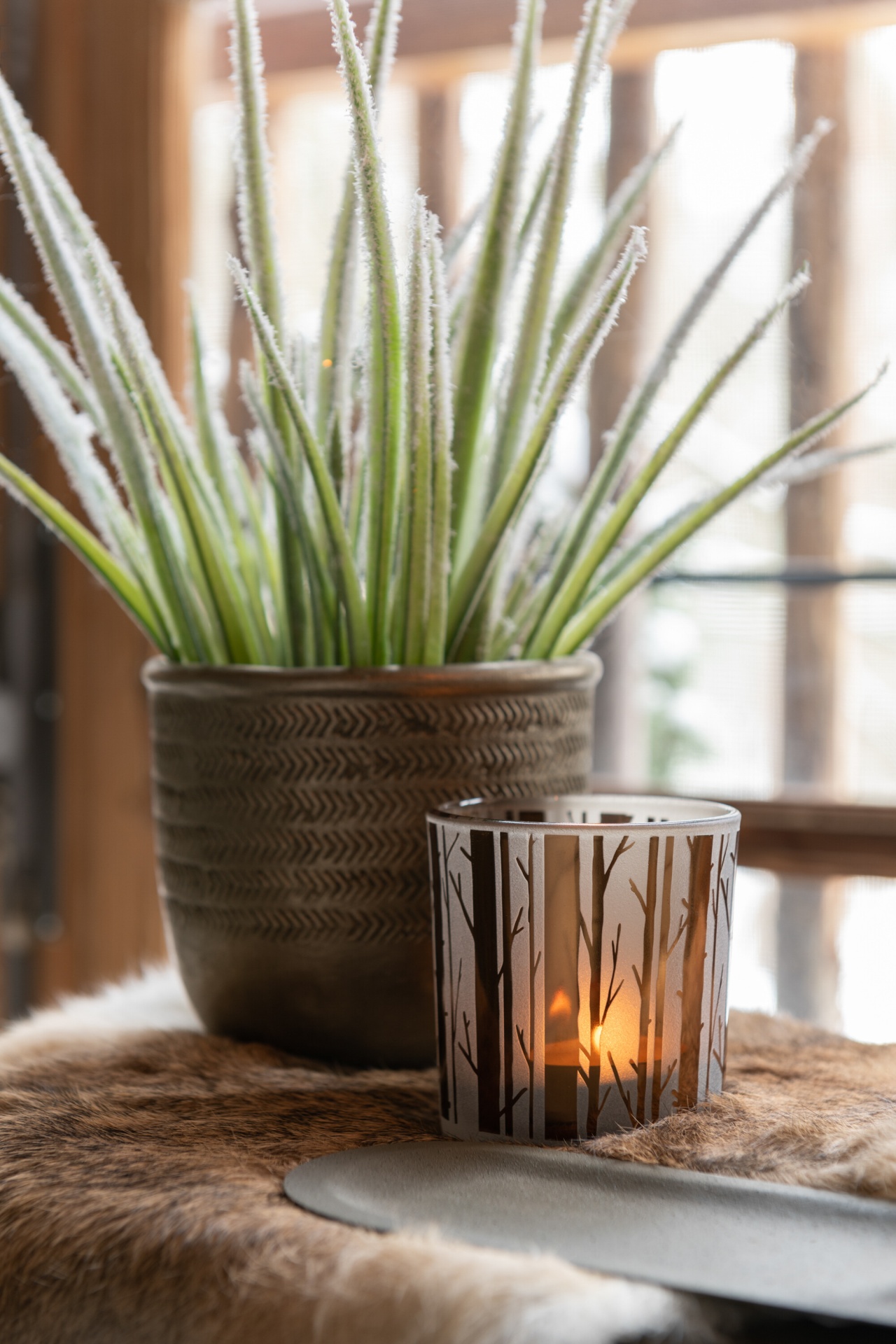Vela acesa em jarra de vidro decorativa ao lado de vaso com planta sobre pele sintética
