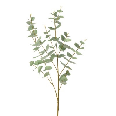 Ramo de eucalipto artificial com folhas verdes