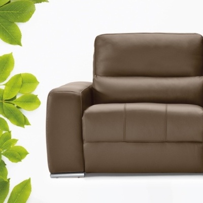 Sofá de pele castanha com folhas verdes ao lado