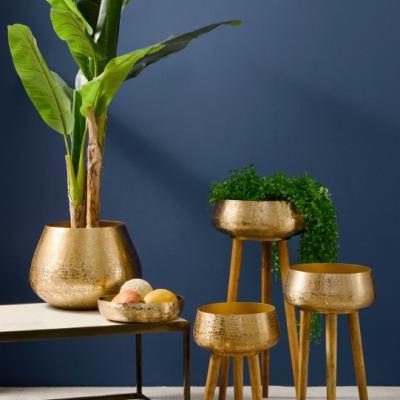 Conjunto de vasos dourados com plantas e tabuleiros decorativos sobre mesa e chão, parede azul
