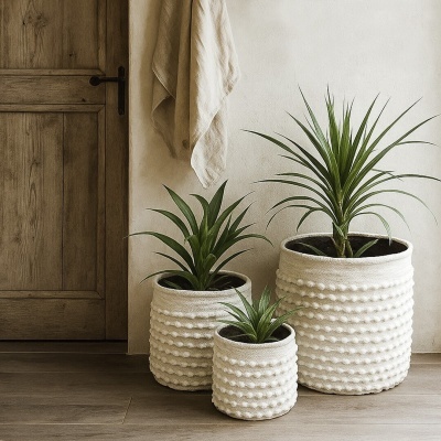 Três vasos brancos com textura de bolinhas contendo plantas verdes junto a uma porta de madeira e toalha bege