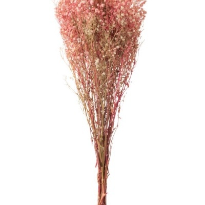 Ramo de flores secas rosa com caules amarrados