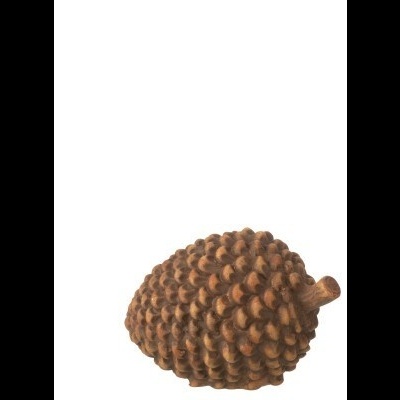 Concha de pinheiro marrom com textura áspera.