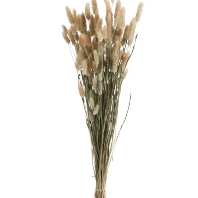 Ramo de flores secas em tons beige e rosa claro amarrado por fita branca
