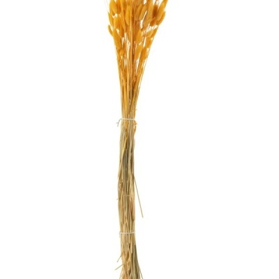 Maço de flores secas amarelas com hastes finas amarradas.