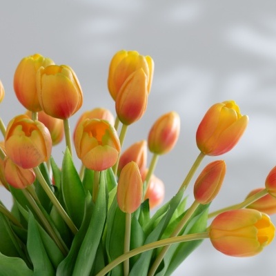 Buquê de tulipas amarelas e laranja com folhas verdes