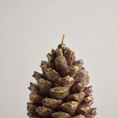 Pinha pintada com tinta dourada nas extremidades sobre fundo cinzento