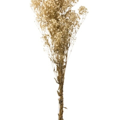 Ramo de flores secas pequenas bege esbranquiçadas com caules castanhos