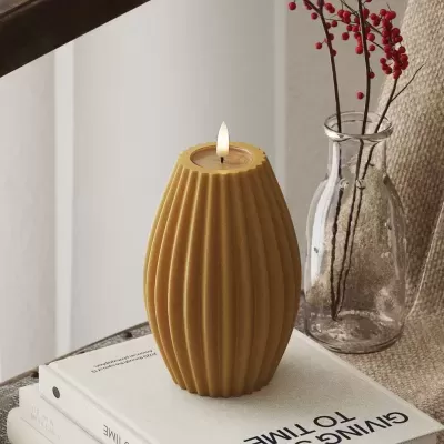 Velão castanho estriado sobre livros ao lado de vaso com raminhos secos