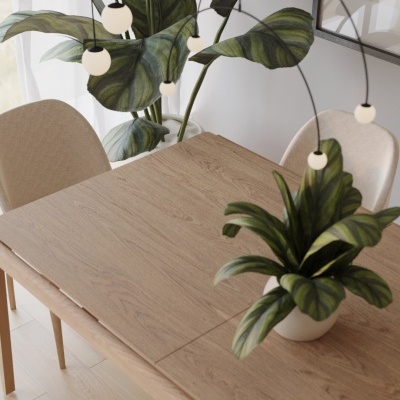 Mesa de madeira clara com plantas e cadeiras estofadas creme