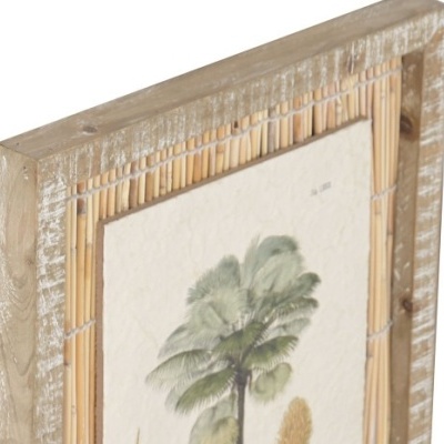 Moldura de madeira envelhecida com ilustração botânica de palmeira