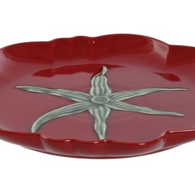 Prato vermelho com desenho de estrela do mar cinza em cerâmica