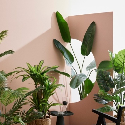 Plantas verdes em vasos diversos junto a parede rosa com espelho oval, mesa preta com copo e cadeira preta