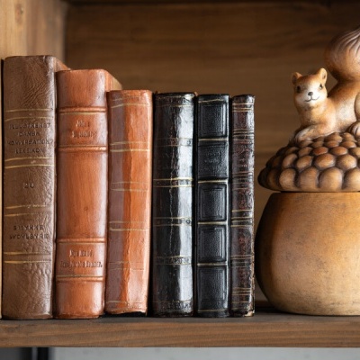 Livros antigos e pote decorativo com esquilo numa prateleira de madeira