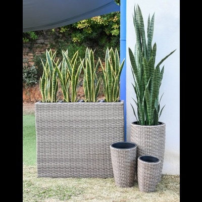 Conjunto de quatro vasos de plantas em rattan cinza com plantas verdes na relva junto a uma parede branca