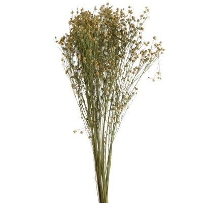 Ramo de flores secas amarelas com hastes verdes amarrado