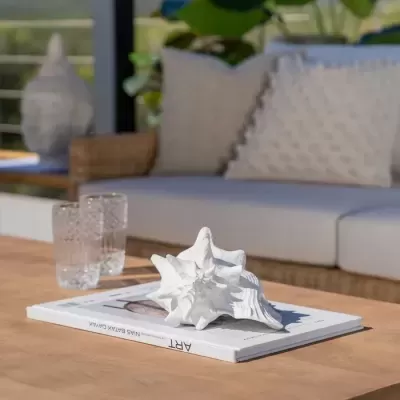 Concha decorativa branca e revista ART sobre mesa de madeira clara com chávenas de vidro e sofá bege ao fundo